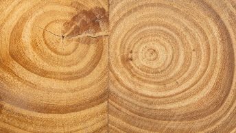 Rift Sawn vs Quarter Sawn