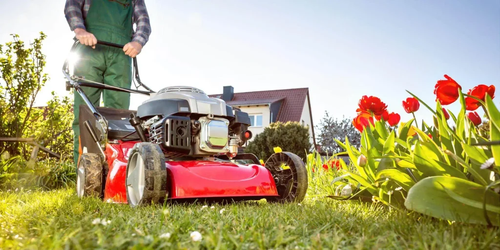 Lawn Mower Battery